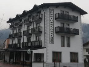 Pensiune Stirbu Borşa